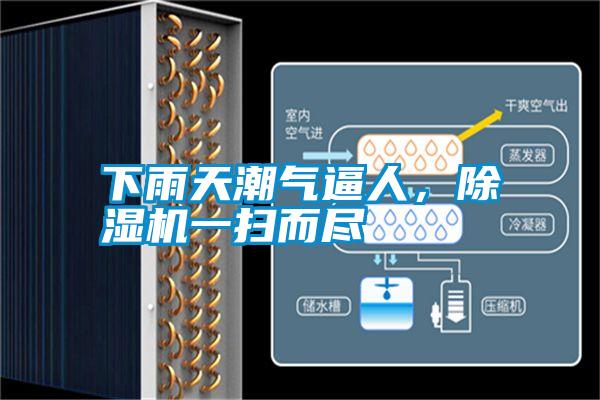 下雨天潮氣逼人，除濕機一掃而盡