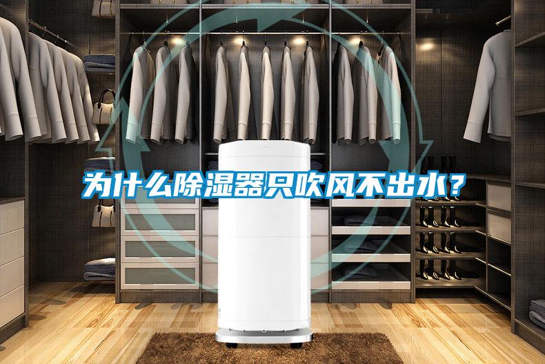 為什么除濕器只吹風不出水?