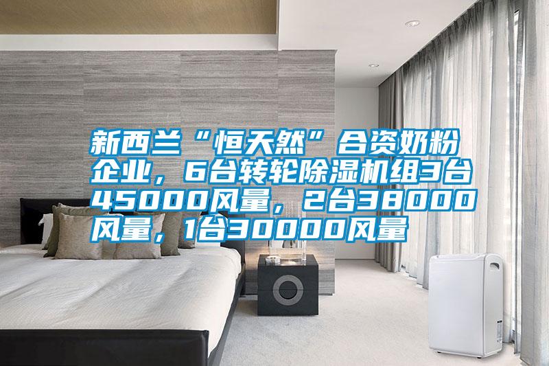 新西蘭“恒天然”合資奶粉企業(yè)，6臺轉(zhuǎn)輪除濕機組3臺45000風量，2臺38000風量，1臺30000風量