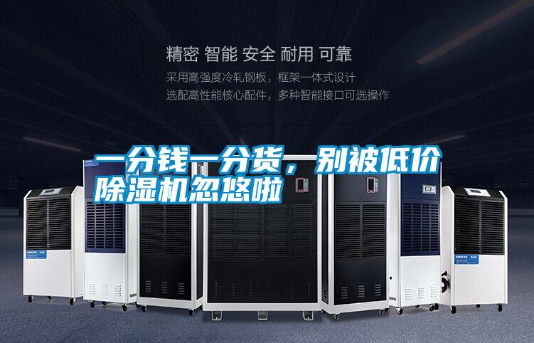 一分錢一分貨,別被低價除濕機忽悠啦