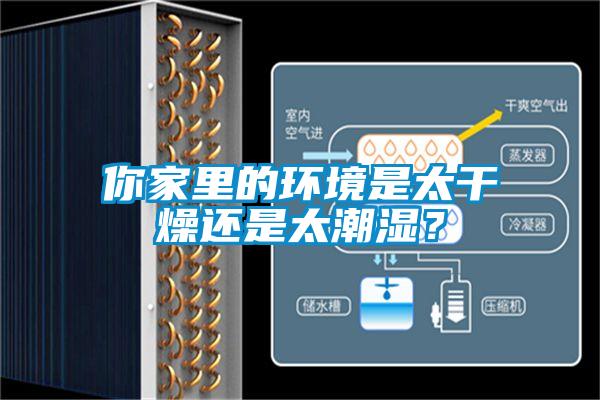 你家里的環境是太干燥還是太潮濕?