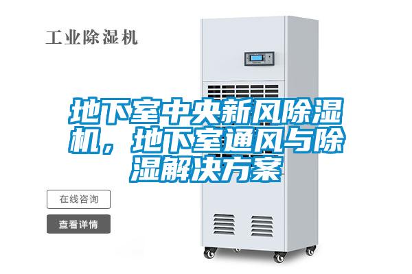 地下室中央新風(fēng)除濕機(jī),地下室通風(fēng)與除濕解決方案
