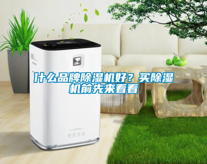 什么品牌除濕機(jī)好?買(mǎi)除濕機(jī)前先來(lái)看看