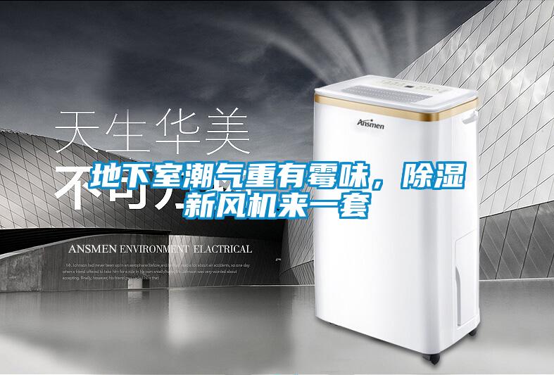 地下室潮氣重有霉味,除濕新風機來一套