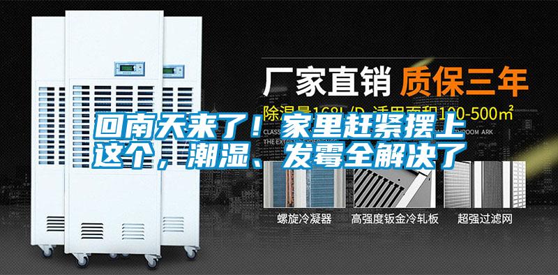回南天來了！家里趕緊擺上這個，潮濕、發(fā)霉全解決了