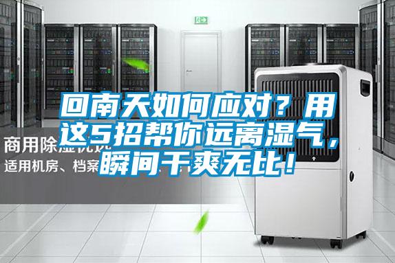 回南天如何應(yīng)對？用這5招幫你遠(yuǎn)離濕氣，瞬間干爽無比！