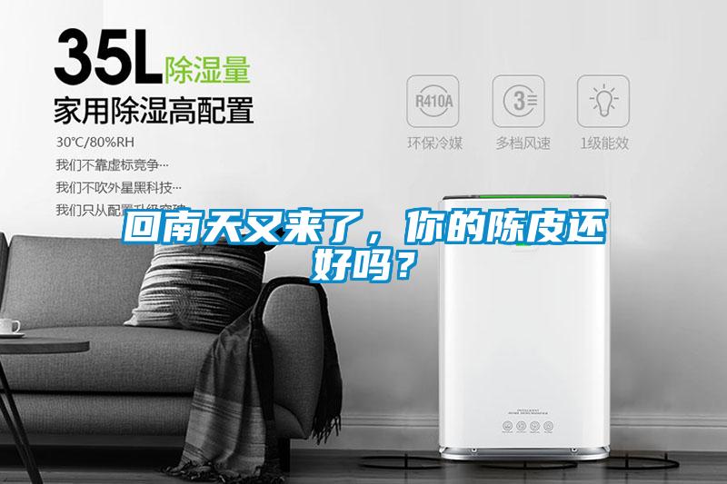 回南天又來了，你的陳皮還好嗎？