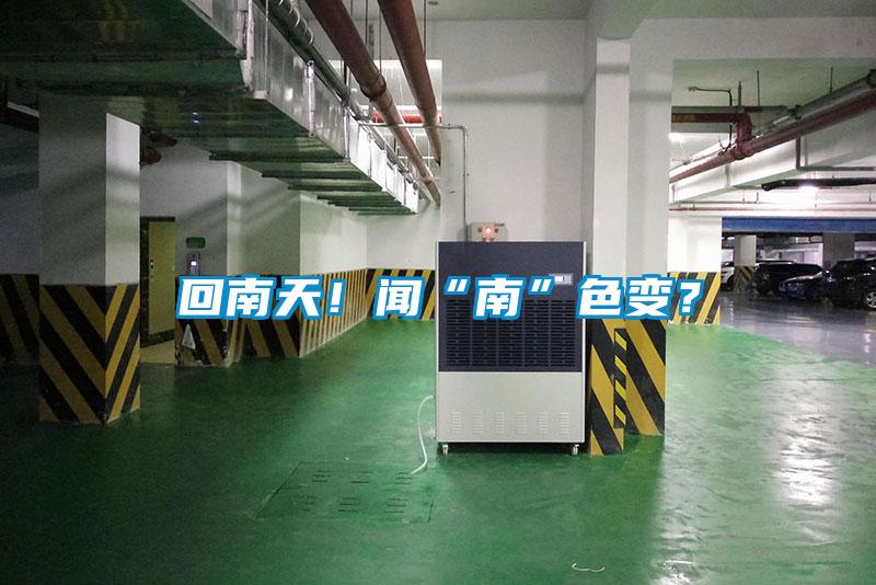 回南天！聞“南”色變？
