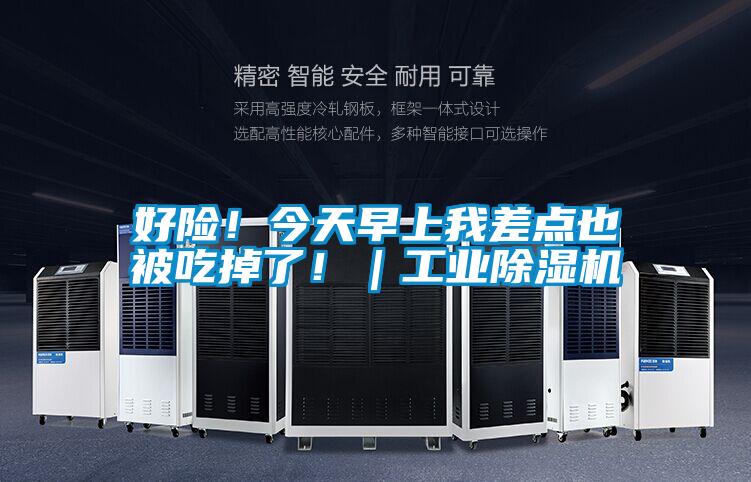 好險!今天早上我差點也被吃掉了!|工業除濕機