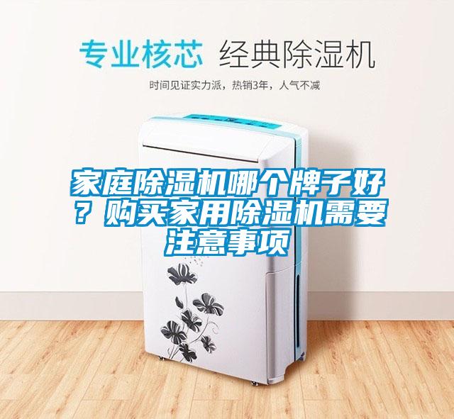 家庭除濕機(jī)哪個(gè)牌子好？購(gòu)買(mǎi)家用除濕機(jī)需要注意事項(xiàng)