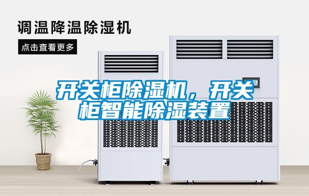 開關(guān)柜除濕機(jī),開關(guān)柜智能除濕裝置
