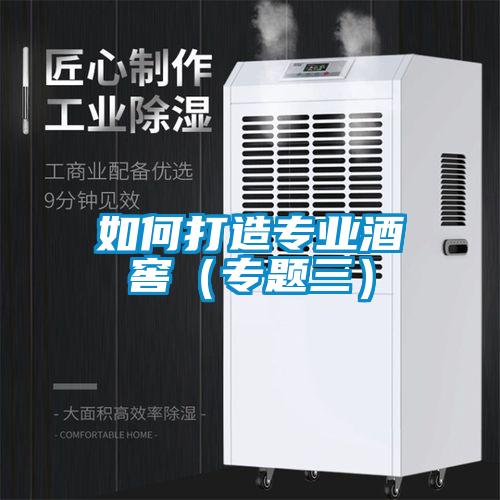 如何打造專(zhuān)業(yè)酒窖(專(zhuān)題三)