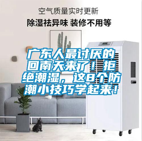 廣東人最討厭的回南天來了！拒絕潮濕，這8個防潮小技巧學起來！