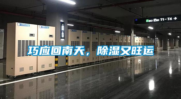 巧應回南天，除濕又旺運