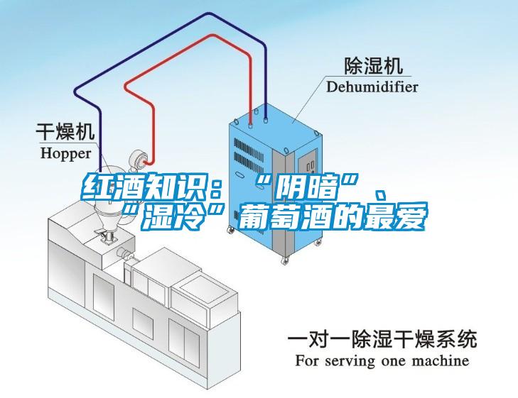紅酒知識：“陰暗”、“濕冷”葡萄酒的最愛