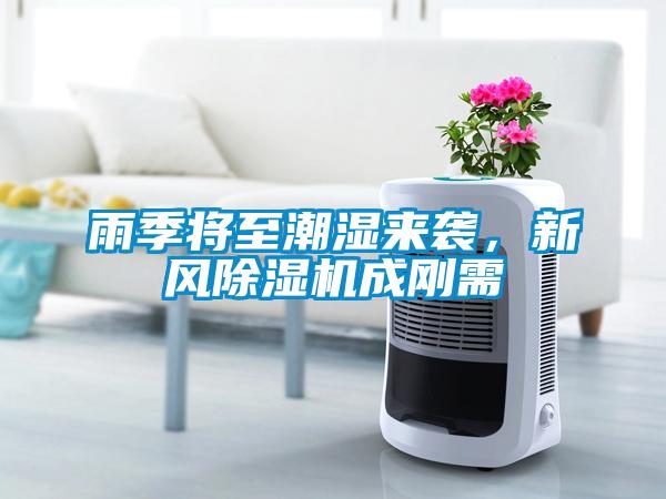 雨季將至潮濕來襲，新風除濕機成剛需