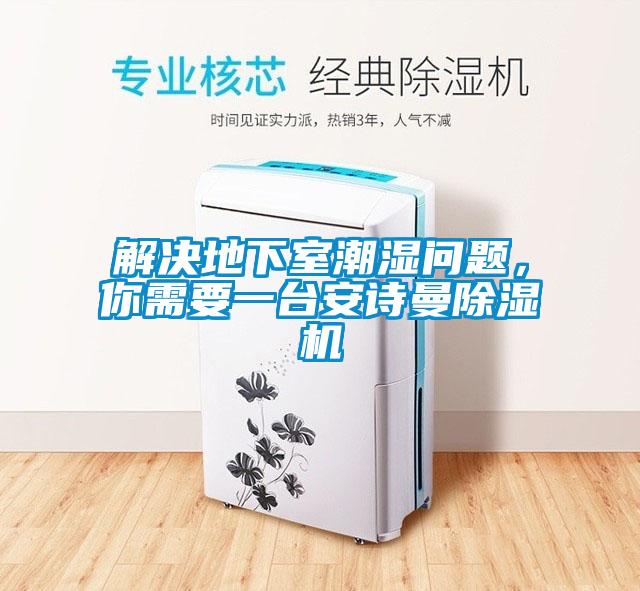 解決地下室潮濕問題，你需要一臺安詩曼除濕機