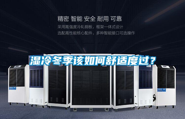 濕冷冬季該如何舒適度過?