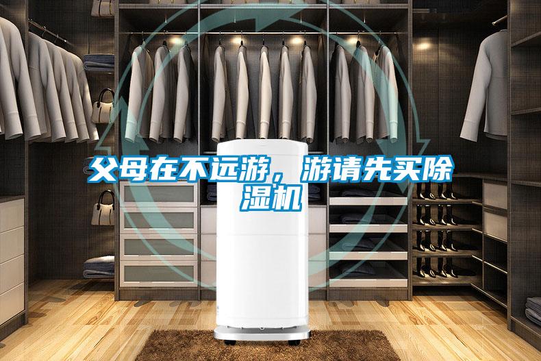 父母在不遠(yuǎn)游,游請(qǐng)先買除濕機(jī)