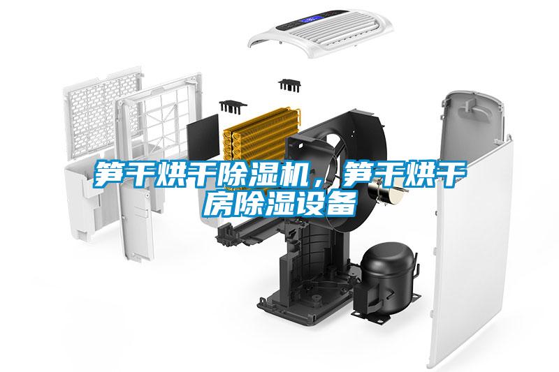 筍干烘干除濕機,筍干烘干房除濕設備