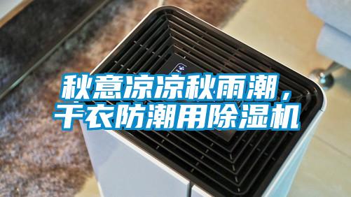 秋意涼涼秋雨潮,干衣防潮用除濕機