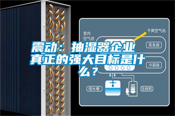 震動:抽濕器企業 真正的強大目標是什么?