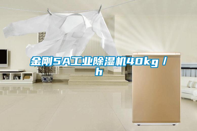 金剛5A工業(yè)除濕機(jī)40kg/h