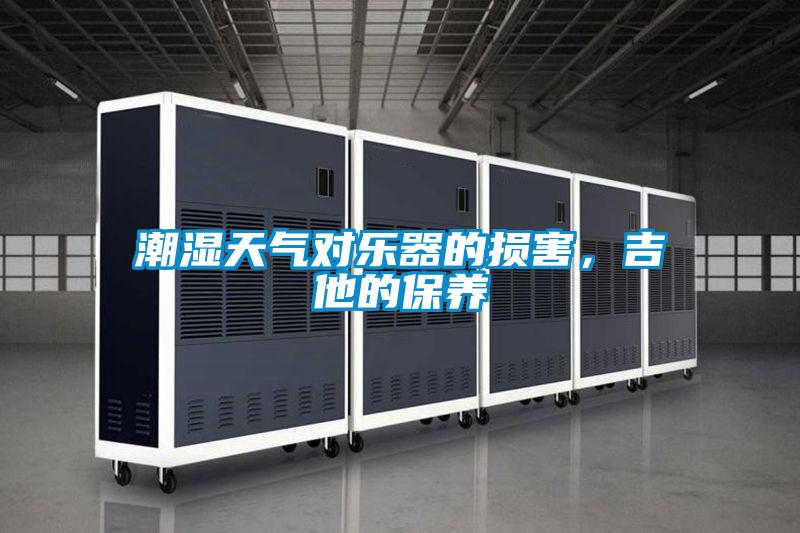 潮濕天氣對樂器的損害,吉他的保養