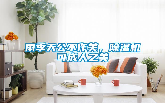 雨季天公不作美，除濕機可成人之美