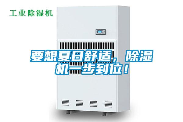 要想夏日舒適，除濕機一步到位！