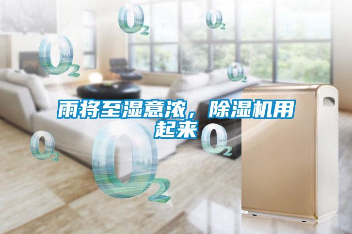 雨將至濕意濃,除濕機用起來