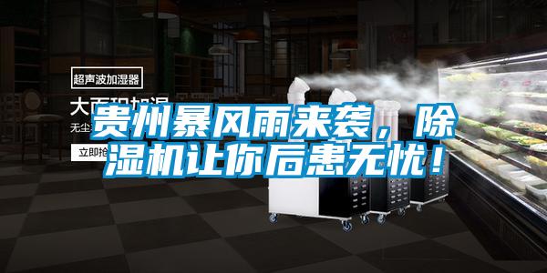 貴州暴風雨來襲，除濕機讓你后患無憂！