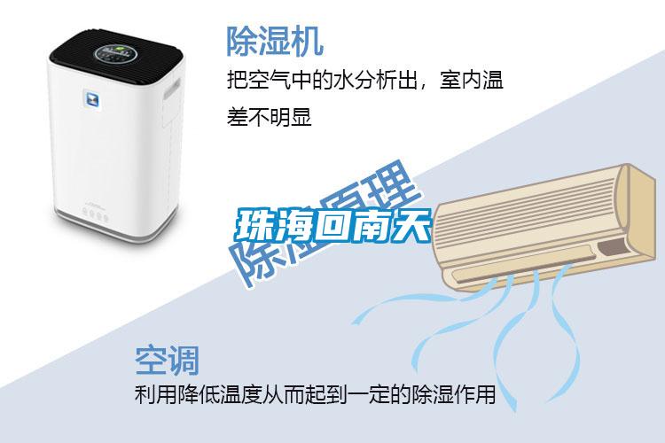 珠?；啬咸?></div>
								<div   id=