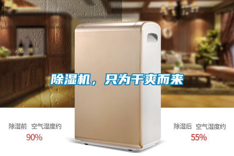 除濕機,只為干爽而來