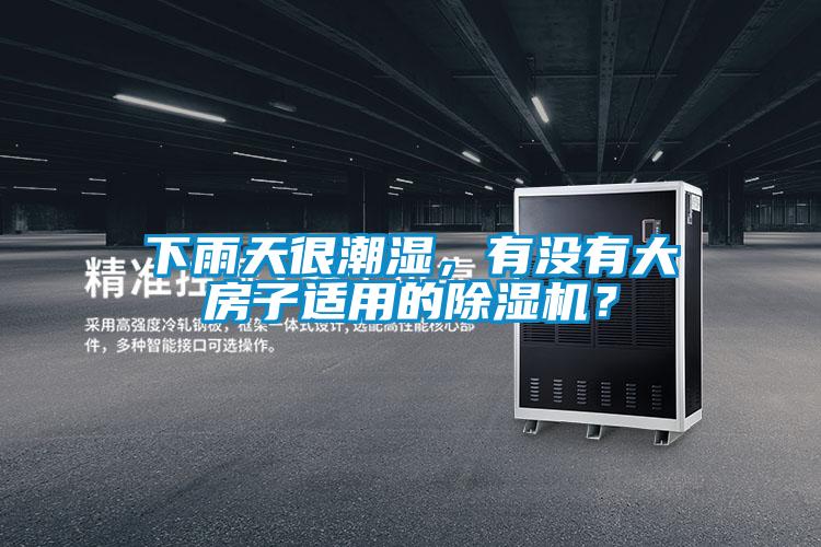 下雨天很潮濕，有沒有大房子適用的除濕機？