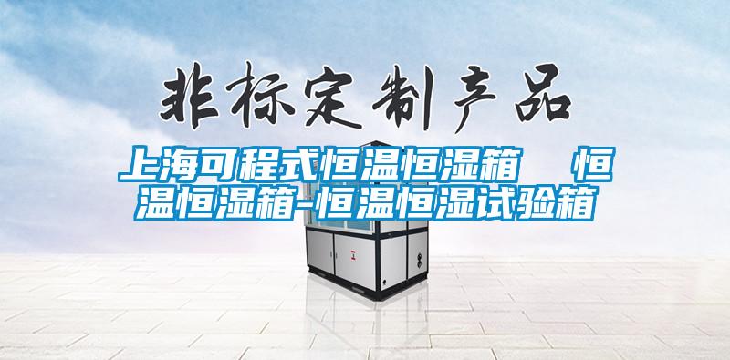 上海可程式恒溫恒濕箱 恒溫恒濕箱-恒溫恒濕試驗箱