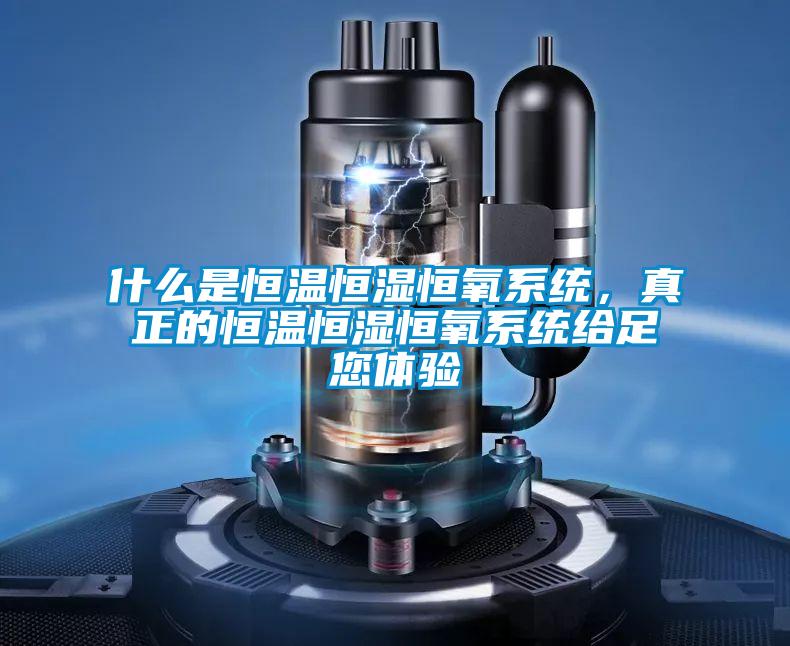 什么是恒溫恒濕恒氧系統,真正的恒溫恒濕恒氧系統給足您體驗