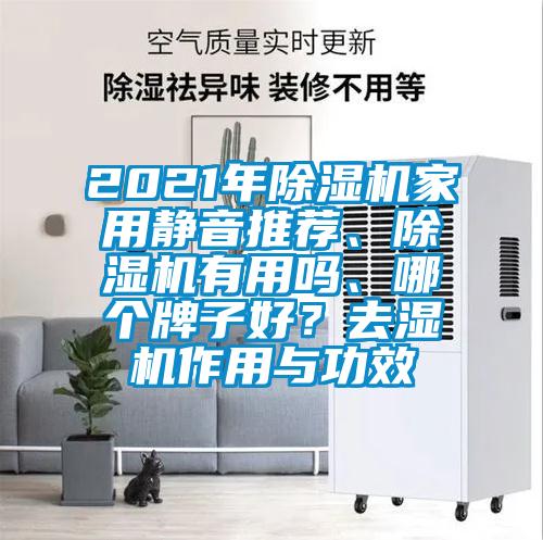 2021年除濕機(jī)家用靜音推薦、除濕機(jī)有用嗎、哪個(gè)牌子好？去濕機(jī)作用與功效