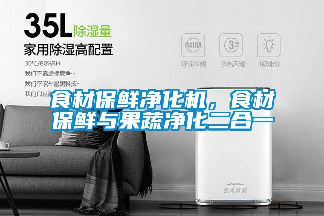 食材保鮮凈化機(jī),食材保鮮與果蔬凈化二合一