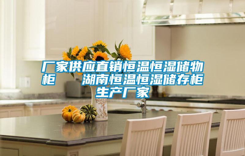 廠家供應(yīng)直銷恒溫恒濕儲(chǔ)物柜 湖南恒溫恒濕儲(chǔ)存柜生產(chǎn)廠家