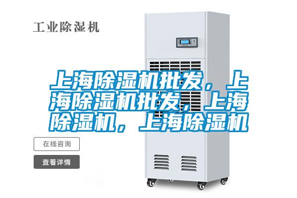上海除濕機批發(fā),上海除濕機批發(fā),上海除濕機,上海除濕機