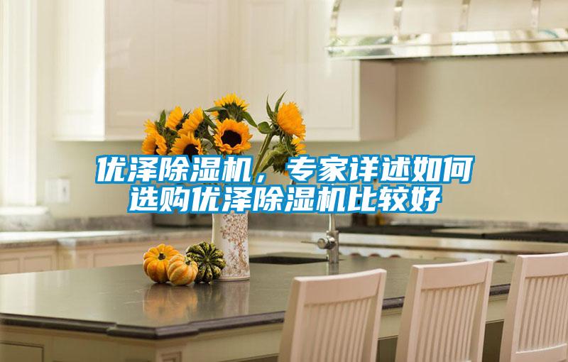 優(yōu)澤除濕機,專家詳述如何選購優(yōu)澤除濕機比較好