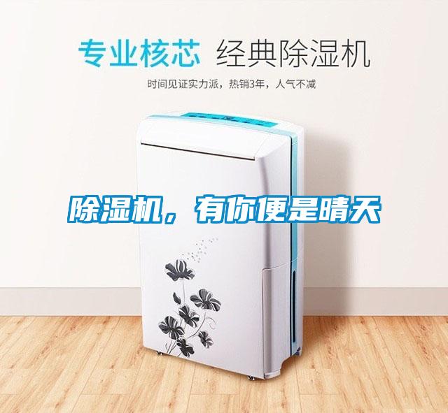 除濕機,有你便是晴天