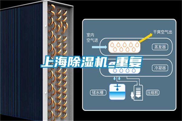 上海除濕機_重復(fù)