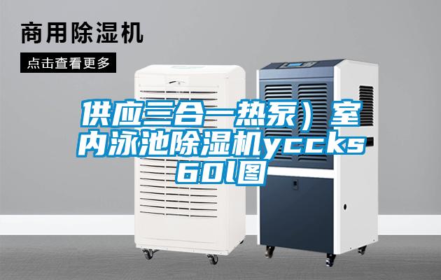供應三合一熱泵)室內泳池除濕機yccks60l圖