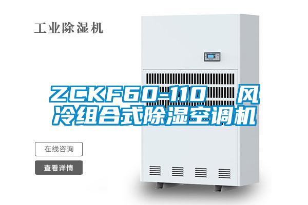 ZCKF60-110 風(fēng)冷組合式除濕空調(diào)機(jī)