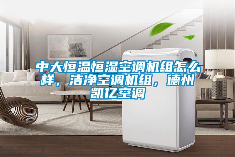 中大恒溫恒濕空調(diào)機(jī)組怎么樣，潔凈空調(diào)機(jī)組，德州凱億空調(diào)