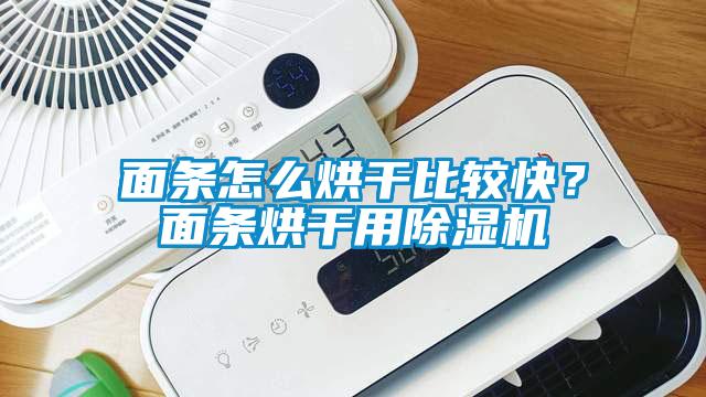 面條怎么烘干比較快？面條烘干用除濕機(jī)