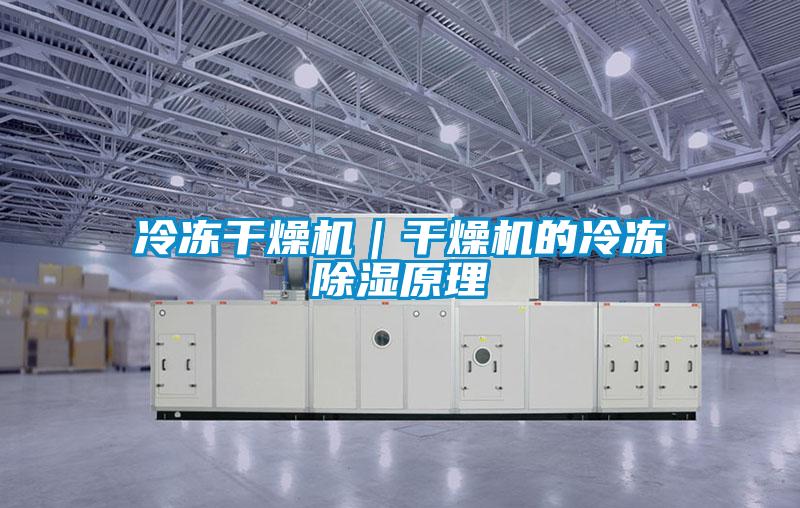 冷凍干燥機|干燥機的冷凍除濕原理