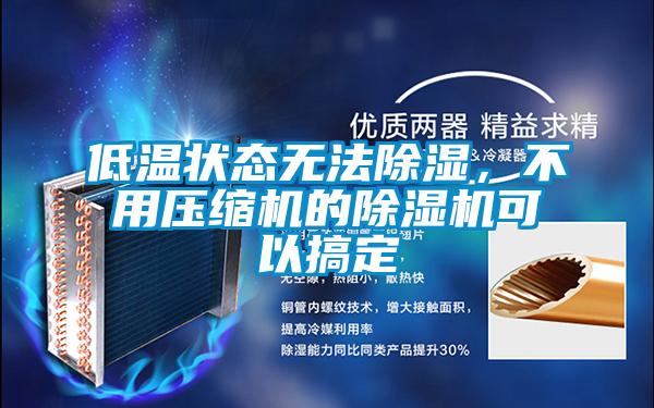 低溫狀態(tài)無法除濕,不用壓縮機(jī)的除濕機(jī)可以搞定